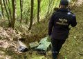 Descinderi în Maramureș – Țigări ascunse în pădure și mobilier, șase suspecți în arest