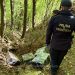 Descinderi în Maramureș – Țigări ascunse în pădure și mobilier, șase suspecți în arest