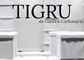 Premieră la Teatrul Municipal Baia Mare – „Tigru”, un spectacol despre frică, panică și instinct
