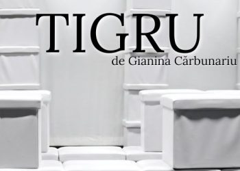 Premieră la Teatrul Municipal Baia Mare – „Tigru”, un spectacol despre frică, panică și instinct