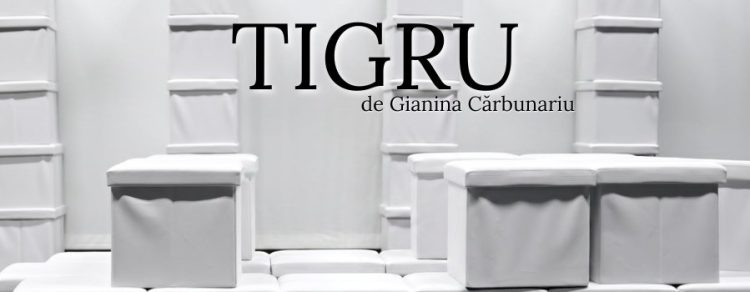 Premieră la Teatrul Municipal Baia Mare – „Tigru”, un spectacol despre frică, panică și instinct