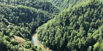 Cheile Lăpușului, între sălbăticie și liniște: unul dintre cele mai spectaculoase locuri din Maramureș