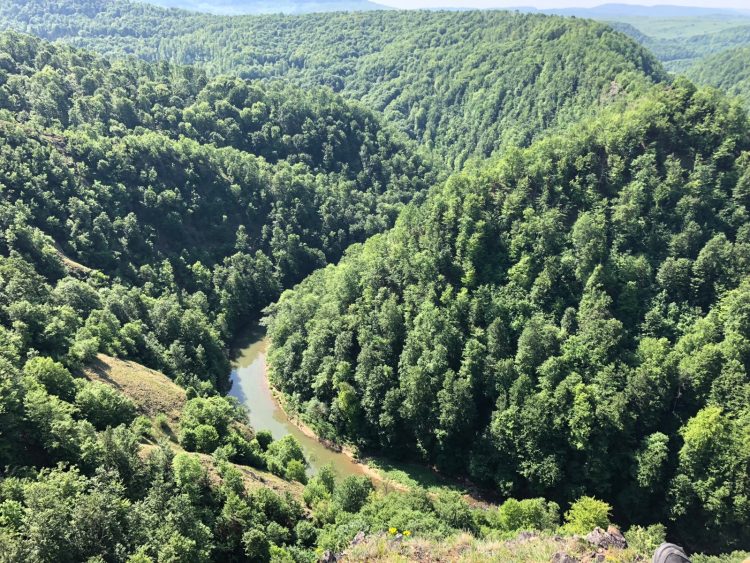 Cheile Lăpușului, între sălbăticie și liniște: unul dintre cele mai spectaculoase locuri din Maramureș