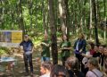 „Școala Naturii”, lecție în aer liber la Lacul Albastru pentru elevii din Baia Sprie