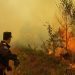 Incendiu de vegetație în Borșa: flăcările au afectat mai multe hectare în zona montană