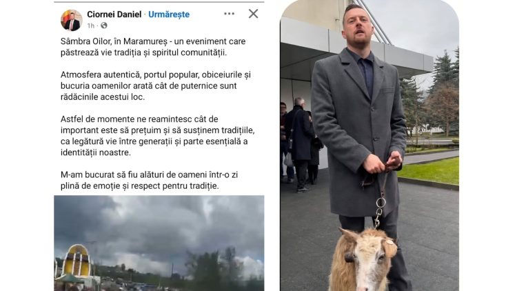Domnul derutat: când mergi la Tânjaua de pe Mara, dar ajungi în „Sâmbra Oilor”