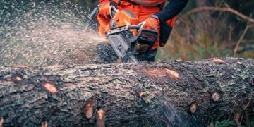 Copac prăbușit pe DN18, în localitatea Mara – Traficul a fost eliberat de pompieri