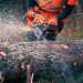 Copac prăbușit pe DN18, în localitatea Mara – Traficul a fost eliberat de pompieri