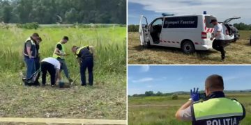 Descoperire macabră în Maramureș. Un craniu uman și un picior, găsite pe un câmp din Pribilești