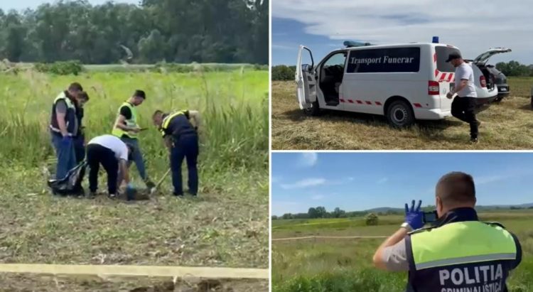 Descoperire macabră în Maramureș. Un craniu uman și un picior, găsite pe un câmp din Pribilești
