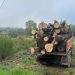 Transport ilegal de lemn depistat la Dragomirești, autoutilitară indisponibilizată
