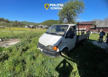 Descinderi în Leordina – Telefoane mobile și motofierăstraie ridicate de anchetatori