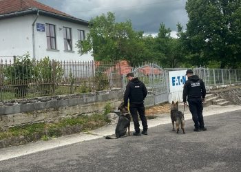 Acțiune a poliției cu sprijinul Grupei Canine în unități de învățământ din Sârbi și Ardusat