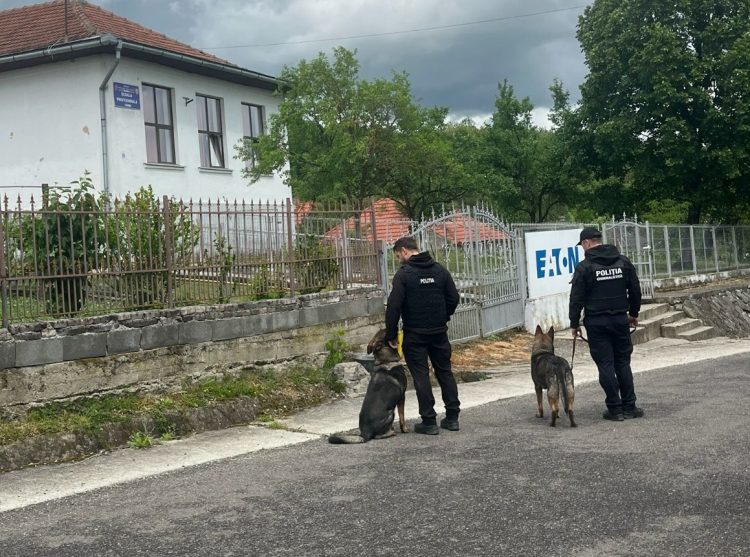 Acțiune a poliției cu sprijinul Grupei Canine în unități de învățământ din Sârbi și Ardusat
