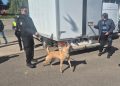 Acțiune a polițiștilor Biroului Județean de Poliție Transporturi Maramureș – 23 de taxiuri verificate în zona Gării Baia Mare