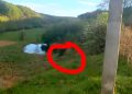 Urs între Târgu Lăpuș și Rohia, în zona ciurgăului din oraș