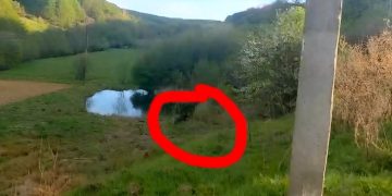 Urs între Târgu Lăpuș și Rohia, în zona ciurgăului din oraș