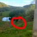 Urs între Târgu Lăpuș și Rohia, în zona ciurgăului din oraș
