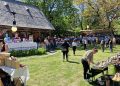 Caravana Filmelor TIFF revine la Casa din Vale Breb. Două zile de filme, ateliere și atmosferă de poveste