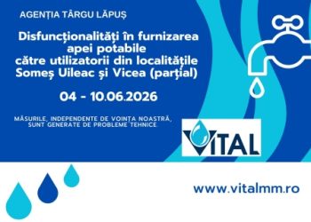 AGENȚIA ULMENI – Disfuncționalități în furnizarea apei potabile în localitățile Someș Uileac și Vicea (parțial)