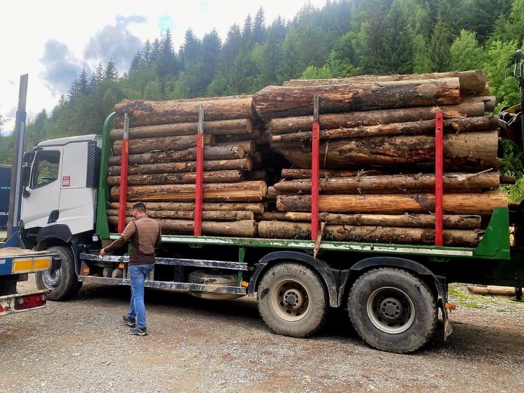 Peste 200 de metri cubi de lemn confiscați la Borșa după controale declanșate în urma distrugerii camerelor de supraveghere