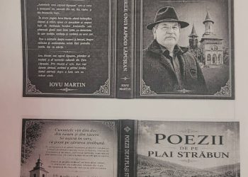Sprijinul pentru cultură, respins în Consiliul Local Târgu Lăpuș. Iovu Martin acuză administrația locală că ignoră patrimoniul cultural