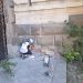 Continuă lucrările de reabilitare la Catedrala Mitropolitană din Cluj-Napoca (Mitropolia Clujului, Maramureșului și Sălajului)