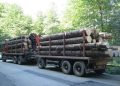 Tragedie la Borșa: Un bărbat a murit după ce un buștean căzut dintr-un camion i-a zdrobit mașina