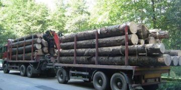 Tragedie la Borșa: Un bărbat a murit după ce un buștean căzut dintr-un camion i-a zdrobit mașina