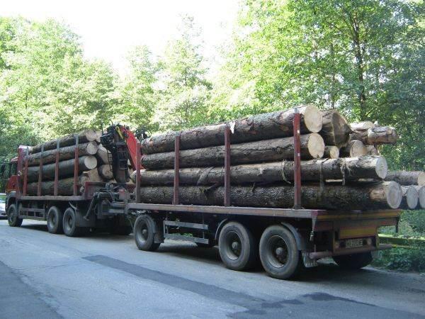 Tragedie la Borșa: Un bărbat a murit după ce un buștean căzut dintr-un camion i-a zdrobit mașina