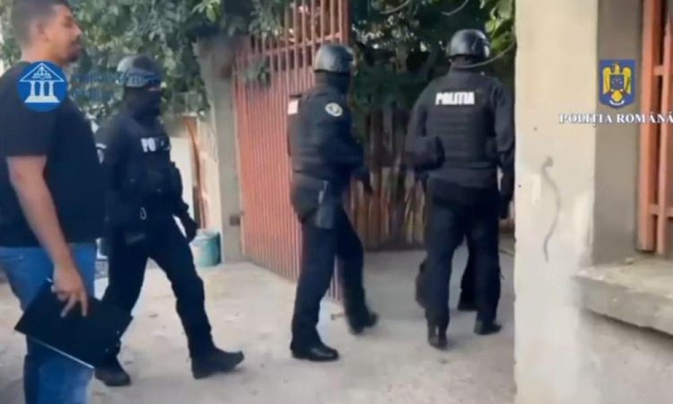 Descinderi în zona Târgu Lăpuș: 23 de sancțiuni și mii de lei confiscate