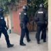 Descinderi în zona Târgu Lăpuș: 23 de sancțiuni și mii de lei confiscate