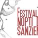 Festivalul „Nopți de Sânziene” revine la Borșa. Două zile de tradiție, folclor și port popular