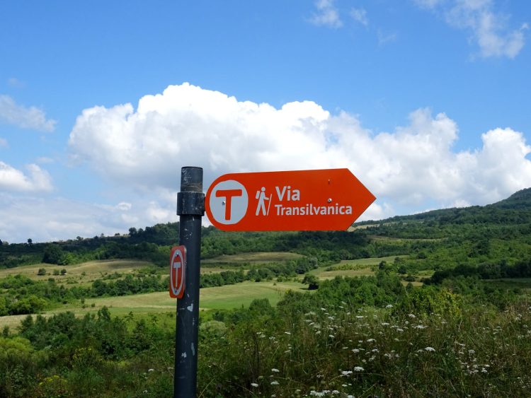 Via Transilvanica, atestată oficial ca primul traseu pedestru de interes național din România