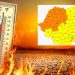 ANM a emis COD PORTOCALIU pentru Maramureș – Valul de căldură aduce temperaturi de până la 37 de grade și disconfort termic accentuat