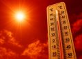 A intrat în vigoare CODUL ROȘU de caniculă. Urmează 3 zile cu temperaturi extreme