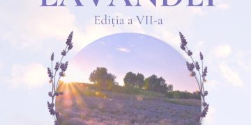 Lanul de lavandă din Groși își redeschide porțile pentru ediția a VII-a
