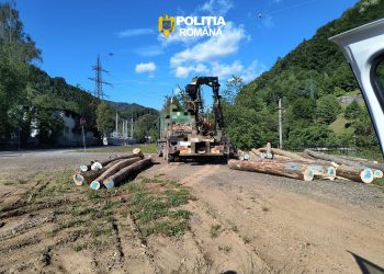 Razie în Baia Sprie – Amenzi, permise reținute și transport ilegal de lemn descoperit