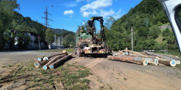 Razie în Baia Sprie – Amenzi, permise reținute și transport ilegal de lemn descoperit
