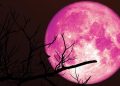 „Luna Căpșună” – Când se vede cel mai bine prima Lună Plină din vara astronomică 2026