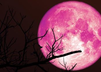 „Luna Căpșună” – Când se vede cel mai bine prima Lună Plină din vara astronomică 2026