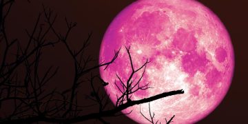 „Luna Căpșună” – Când se vede cel mai bine prima Lună Plină din vara astronomică 2026