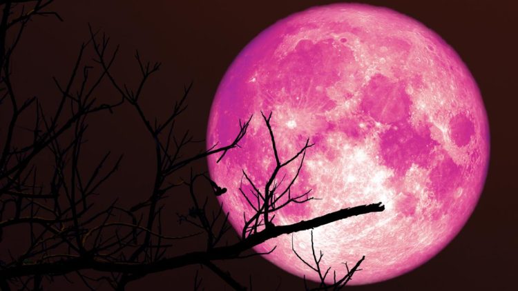 „Luna Căpșună” – Când se vede cel mai bine prima Lună Plină din vara astronomică 2026