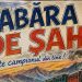 Academia de Șah Maramureș dă startul înscrierilor pentru Cantonamentul de Vară de la Repedea