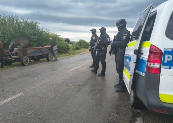 Poliția a descins în Vălenii Lăpușului – Cai lăsați nesupravegheați, ridicați de autorități și amenzi de peste 13.000 de lei