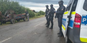 Poliția a descins în Vălenii Lăpușului – Cai lăsați nesupravegheați, ridicați de autorități și amenzi de peste 13.000 de lei