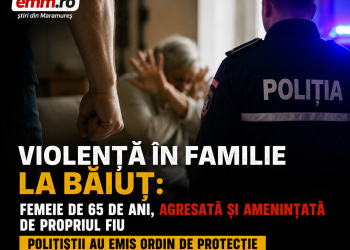 Violență în familie la Băiuț: femeie de 65 de ani, agresată și amenințată de propriul fiu