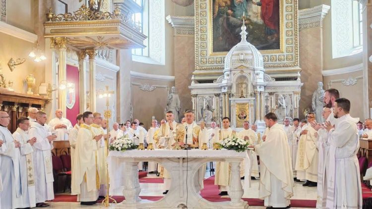 Schimbări în Episcopia romano-catolică de Satu Mare – Numiri noi în parohiile din Maramureș și Satu Mare