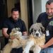 68 de animale sterilizate la Copalnic Mănăștur