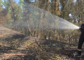 Pompierii români, în prima linie a luptei cu incendiile din Franța